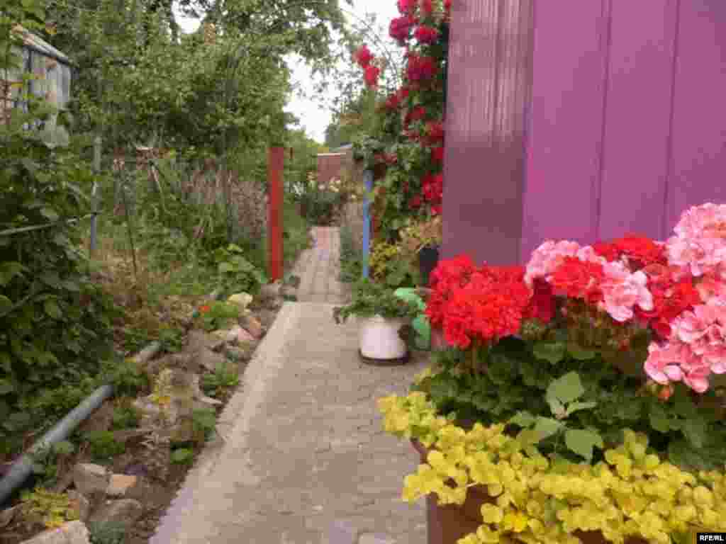 Барви літа (фото Зиновія Фриса) #30