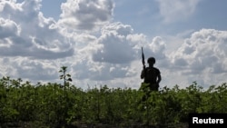 Український військовий на позиції в Дніпропетровській області, червень 2026 року