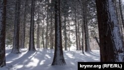 Ангарський перевал