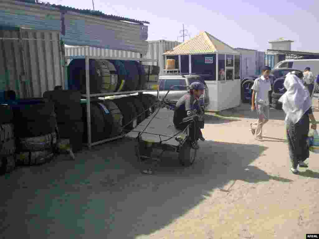 Arabakeşlik — köpleriň gazanç çeşmesi #11