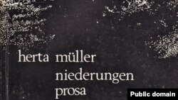 Coperta volumului „Depresiuni” (Bucuresti, 1982) 