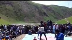 Гуштии миллӣ дар деҳаи Саричашма