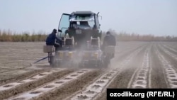 Farmer work their crop on a farm in the Andijon region of Uzbekistan. (file photo)