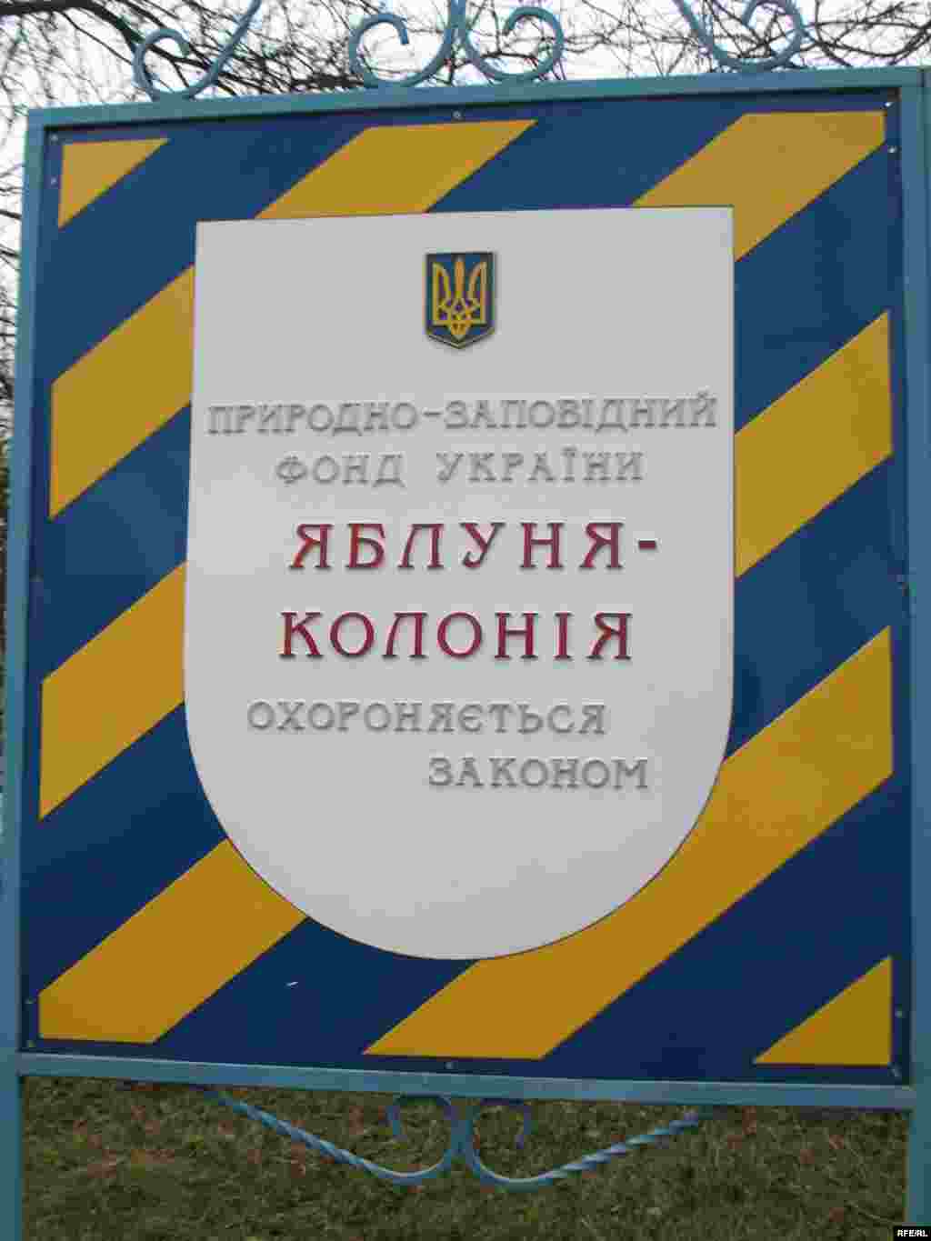 Цей унікальний об'єкт природно-заповідного фонду України знаходиться місті Кролевець Сумської області. Дістатися до яблуні можна залізницею або автодорогою «Київ — Москва», що проходять через цей районний центр