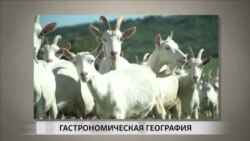 Молдавская брынза — конкурент европейским сырам