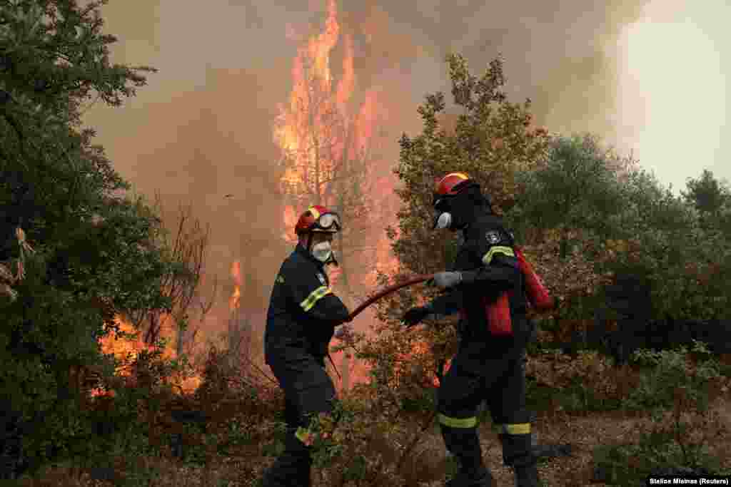 Zjarrfikësit duke u munduar ta fikin një zjarr në fshatin Avgaria, në ishullin e Evias, në Greqi. (10 gusht)