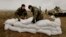 Ukrainian soldiers fortify a position with sandbags at a Ukrainian Army military camp set up close to the Russian border in east Ukraine on March 20.
