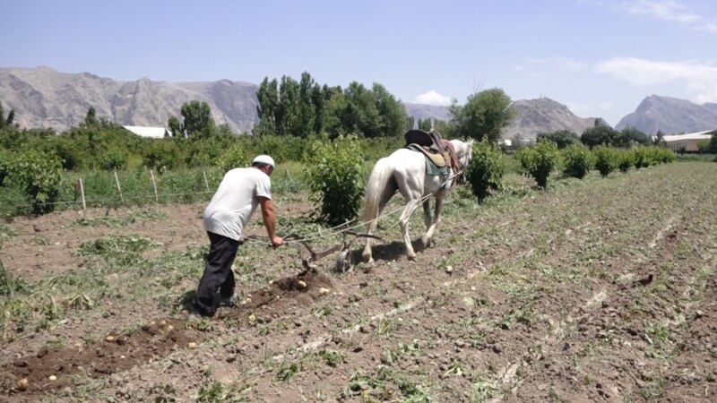 «Айыл банку» выделено более 270 млн сомов на поддержку фермеров в виде предоставления техники в лизинг