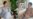 Taliban Attacks Get Help From Pakistan, Report Says