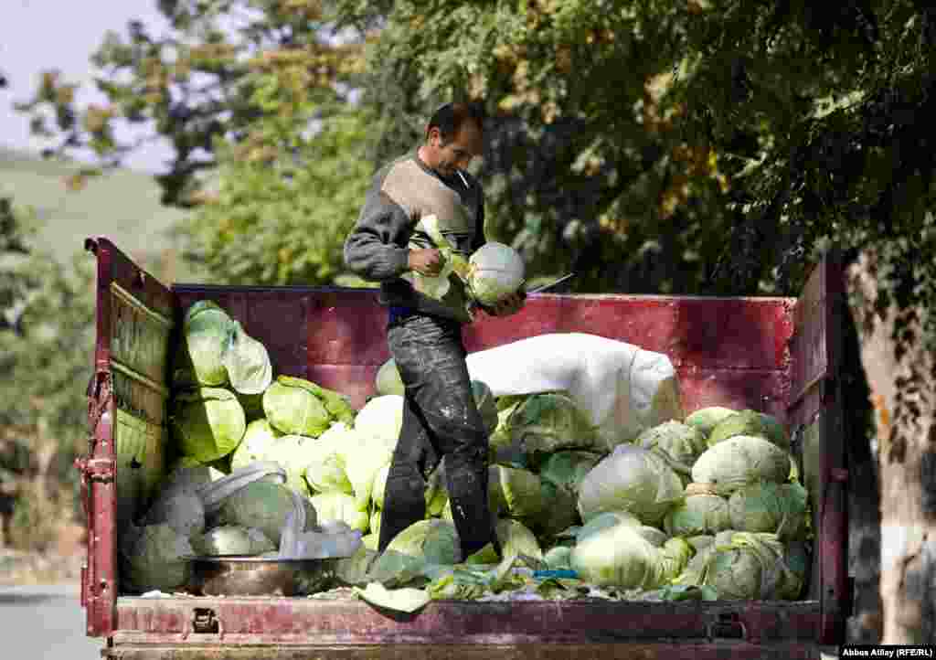 Yük maşınında kələm satan oğlan.