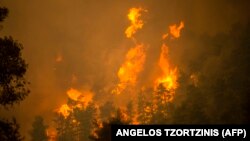 Fotografi e shkrepur pranë fshatit Gouves, në ishullin Euboea më 8 gusht 2021. 