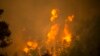 Incediile forestiere din apropiere de satul elen Gouves, de pe insula Euboea , a doua cea mai mare din Grecia, 8 august 2021. 