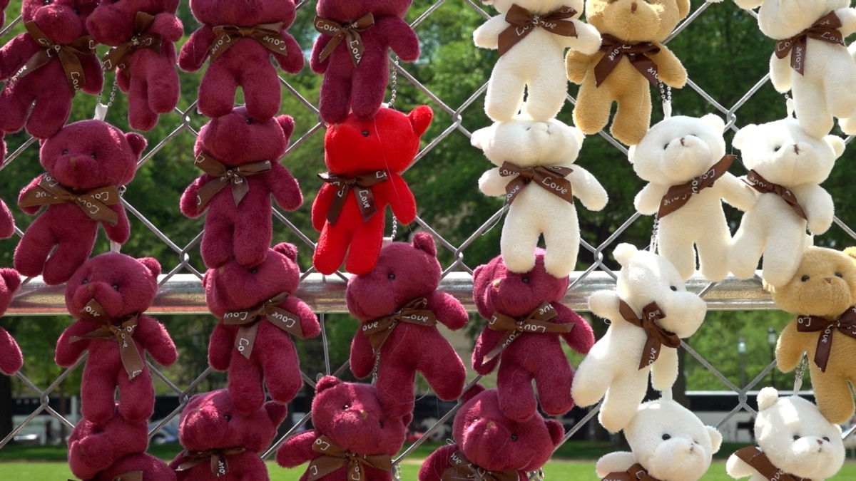 20 000 плюшевих ведмедиків: активісти у Вашингтоні закликають повернути дітей з Росії (відео)