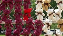 20 000 плюшевих ведмедиків: активісти у Вашингтоні закликають повернути дітей з Росії (відео)