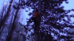 "Пристрелите её!" Сотрудники МЧС отказались спасать кошку