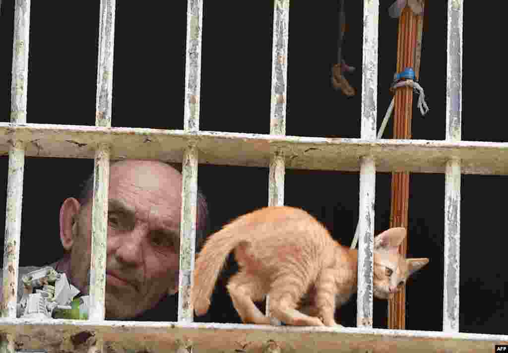 A prisoner and a kitten look out from a cell in Lukyanivska prison in Kyiv during a press tour organized by the Ukrainian Ministry of Justice. (AFP)