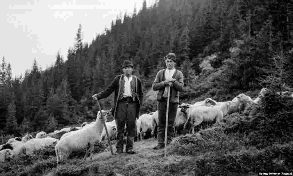 Doi ciobani din Munții Făgăraș, în 1963.&nbsp; Aceasta este doar una dintre cele aproape 13.000 de fotografii analogice care alcătuiesc arhiva foto Azopan. &nbsp; &nbsp;