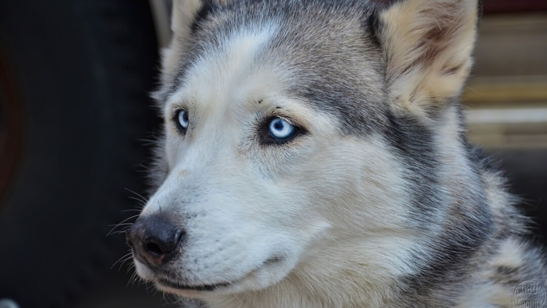 Әдемі киімдегі секс