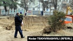 По мнению специалистов, только 10% из посаженных деревьев смогут дожить до следующего года. Зеленый покров Тбилиси стремительно редеет, и это может привести к усилению ветров и экологическим катастрофам