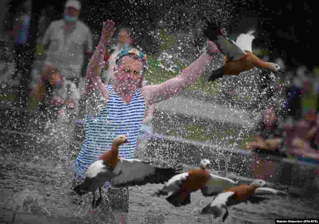 A Russian ex-serviceman scares ducks in a fountain amid Paratroopers Day celebrations in Moscow&#39;s Gorky Park on August 2.&nbsp;