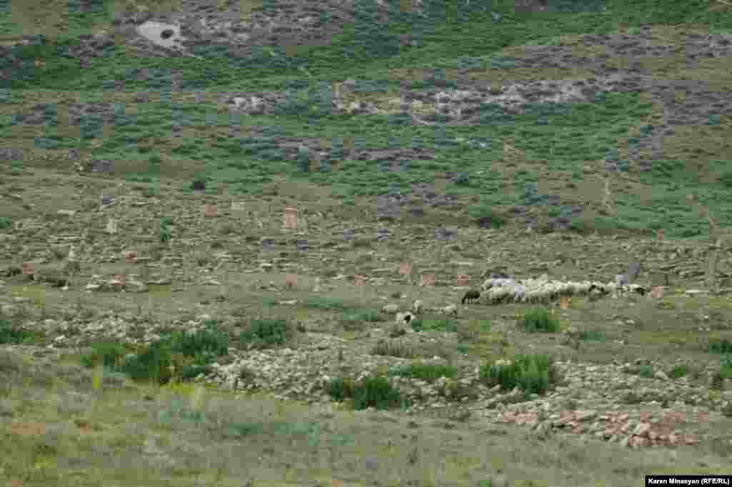 Armenia -- Treasures of Urtsasar mountains, 25Jun2012