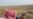Suicide Bomber Kills 16 In Iraq’s Anbar Province