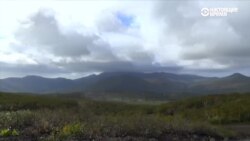 Життя на Курилах: місто-привид чекає в гості Шойгу (відео)