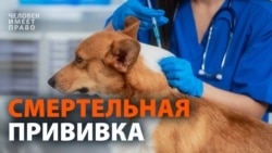 Смертельная  прививка

