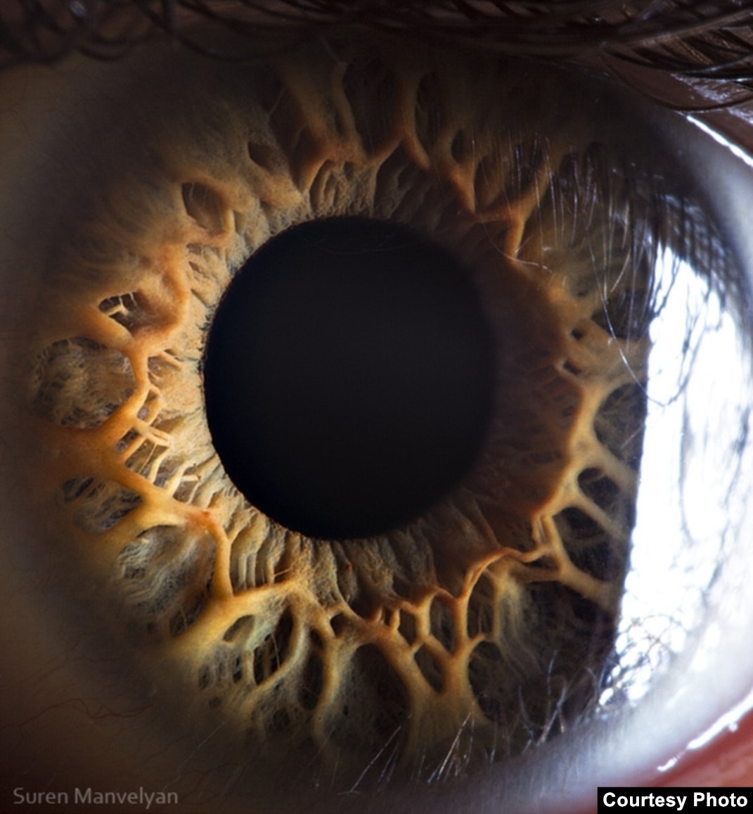 The Eyes Have It: The Work Of Suren Manvelyan