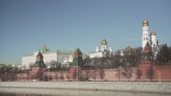 Лоялисты требуют от Путина победы  