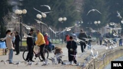 Илустрација. 