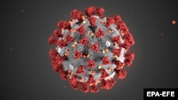 Компьютерная анимация нового коронавируса, вызывающего заболевание COVID-19.
