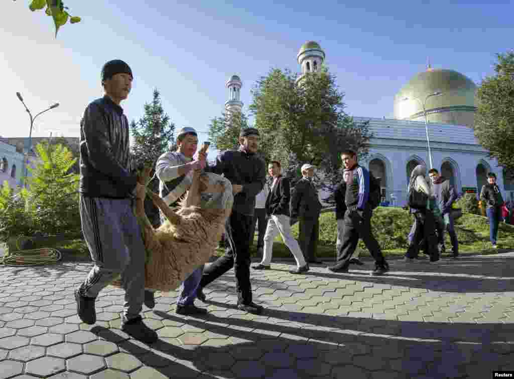 Алматының Үзәк мәчете янында мөселманнар корбан сарыгын алып кайтып бара