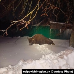Зубар перагарадзіў ваход у будынак