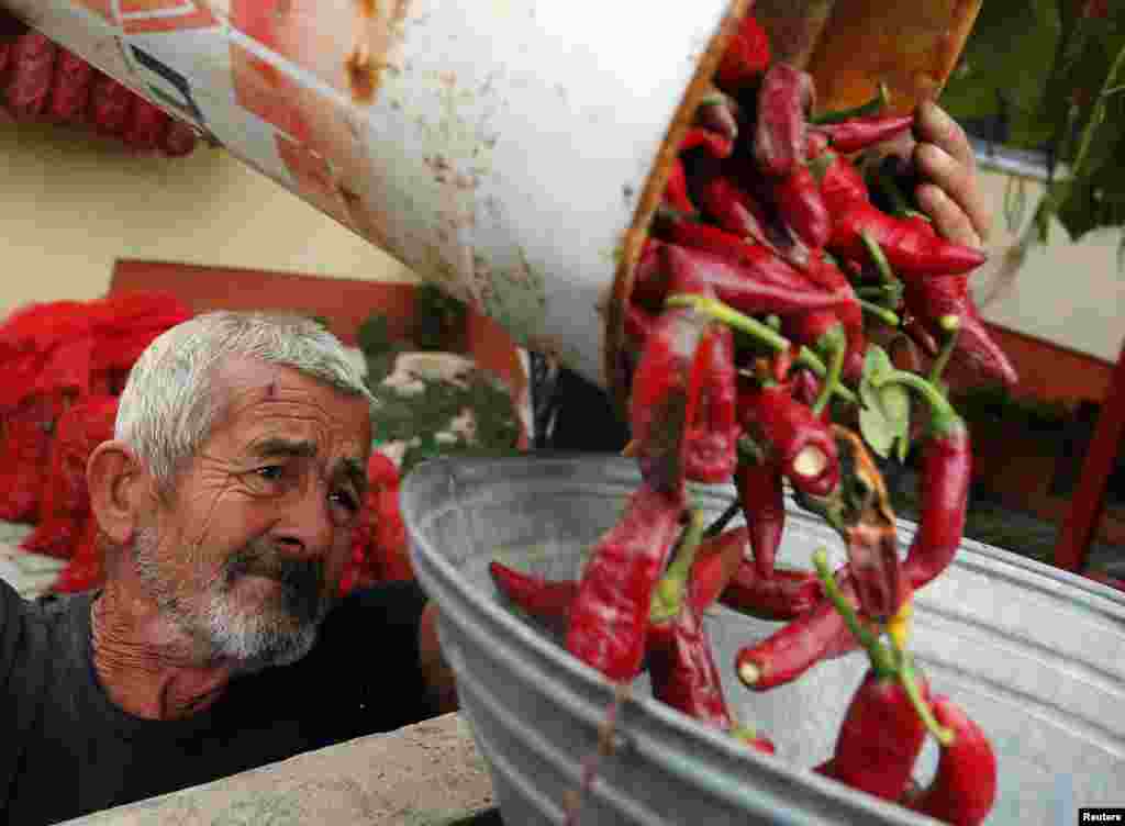 Producător de paprika la Batia, 140 km la sud de Budapesta, Ungaria