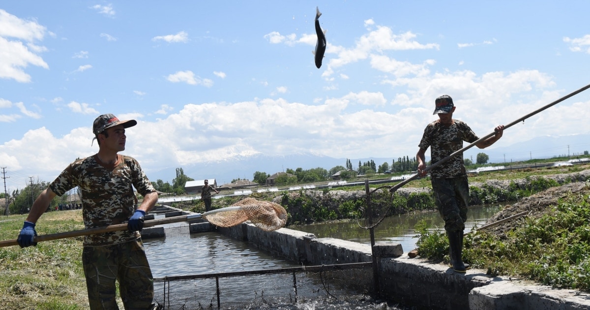 Russia Widens Bans On Armenian Food Imports