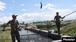 Armenia - A fish farm in Ararat province, May 22, 2017.