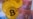 Бонки миллии Тоҷикистон: истифодаи Bitcoin хатар дорад