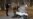 16x9 Image
