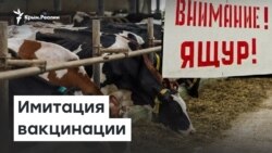 Опасные животные: в Крыму имитировали вакцинацию | Радио Крым.Реалии