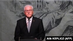 د جرمني ولسمشر فرانک والتر شتاین مایر