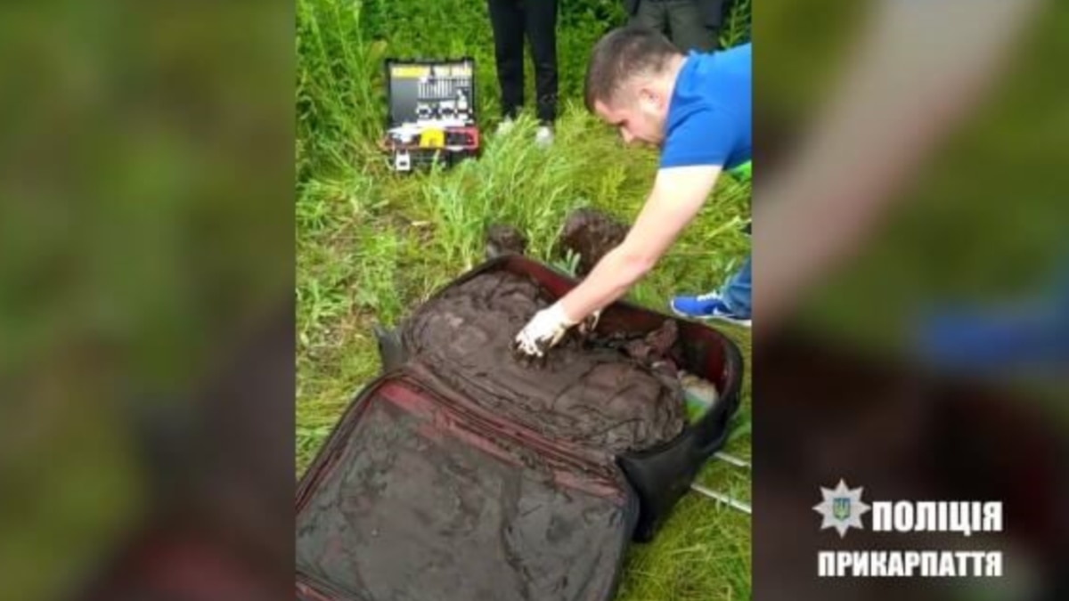 Девушки нашли в чемодане. Ntkj d xtvjlfgyt. Останки девушки в чемодане. Девушки нашли в чемодане. Девушки нашли в чемодане.