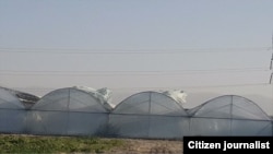 Иллюстрациялык сүрөт.